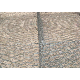 天阔筛网-绿格石笼网-绿格石笼网材质