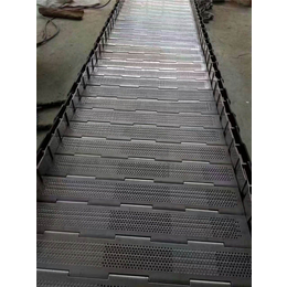 天津不锈钢链板,天惠网带,881不锈钢链板