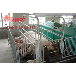 亚冠生产母猪产床经销处