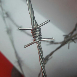 ****生产不锈钢刺绳网不锈钢刺绳防护网厂家缩略图