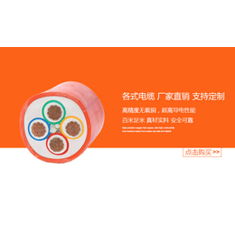供应珠江东江电线电缆RVV电缆双护套软线阻燃铜芯