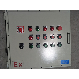 供应广东深圳防控制箱BXK-T检修箱电箱碳钢材质IIB级