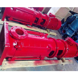 强盛水泵-西藏铸铁多级泵厂家