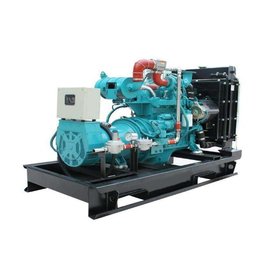 西安燃气发电机组报价、年丰动力、西安燃气发电机组