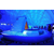 移动充气式鲸鱼岛气模乐园蓝鲸乐园出租缩略图4