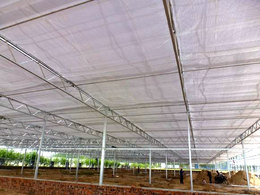 农业玻璃温室大棚-农业玻璃温室大棚厂家