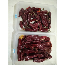 农瑞丰(图)|千金红辣椒种植基地|东莞千金红辣椒