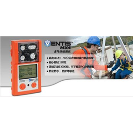 密闭空间泵吸式美国英思科Venti*X4多气体检测仪