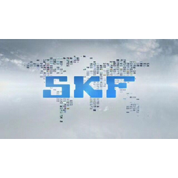 邵阳skf轴承代理商,瑞典进口,*skf轴承代理商