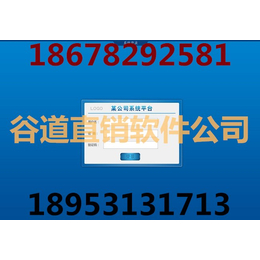 河南双轨*系统开发 双轨*软件定制