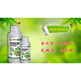 水溶肥|菏泽水溶肥|山东科邦