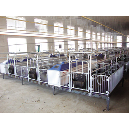 养猪设备、 自动化畜牧设备、供应养猪设备 猪产床