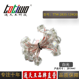 12V20MM白光LED外露防水SMD贴片灯串广告招牌