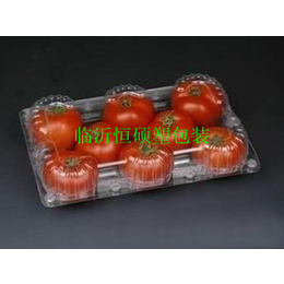 餐盒-恒硕吸塑包装-山东水果餐盒厂家