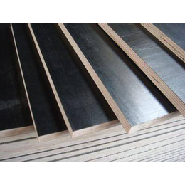 木模板和组合木模板-泰州组合木模板-纳斯特木业(查看)