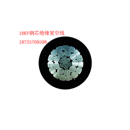 JKLGYJ规格1×50,正工电缆有限公司,眉山规格