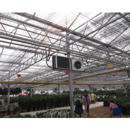 安徽农友公司(图)|智能温室建造|蚌埠智能温室