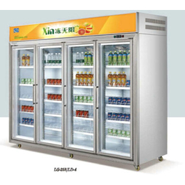 饮料冷冻柜|厦门鑫三阳(在线咨询)|冷冻柜