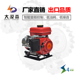 重庆大漠森电动车增程器公司供应汽油发电机外置机4kw缩略图