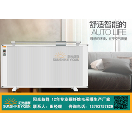 壁画式碳纤维电暖器|安庆碳纤维电暖器|济宁益群(查看)