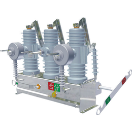 10KV线路户外高压ZW32-12真空断路器