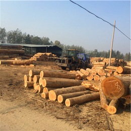 岚山中林木材加工厂(图),铁杉建筑板材报价,衡水建筑板材