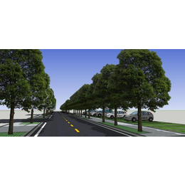 农梦达生物公司(图)|公路行道树|青山行道树