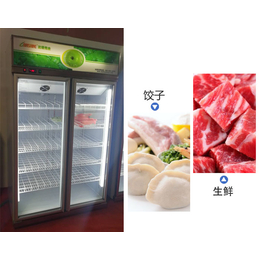 三明饺子速冻柜_达硕厨房设备制造_饺子速冻柜多少钱