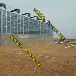 金盟温室(多图)|自动化玻璃大棚施工队|玻璃大棚