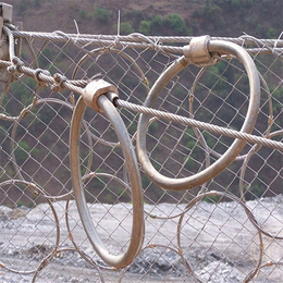铜仁被动网、边坡防护网(图)、被动网施工