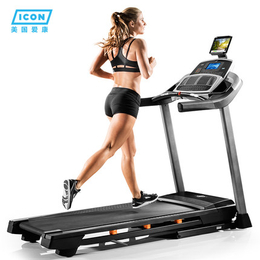 icon爱康NETL12916跑步机电动马达动静音折叠跑步机