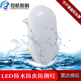 得皓 DH-fsbd-18 LED智能雷达感应防水壁灯