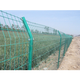 安徽铁丝防护网-双边丝铁丝防护网-采摘园铁丝防护网