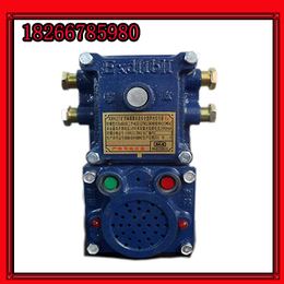 KXH127声光信号装置价格