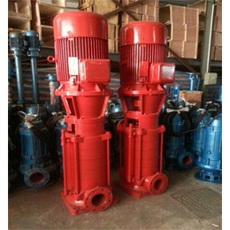 丹东铸铁多级泵厂家-强盛泵业-立式铸铁多级泵厂家