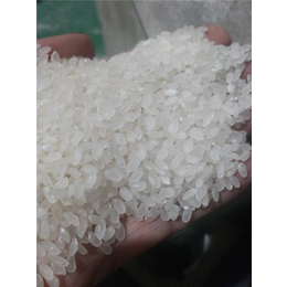 【宴宾米业】-籼米批发供应-籼米批发