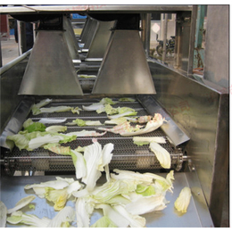 蔬菜除水机 果蔬清洗风干机 翻转式风干沥水机MC-1004