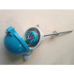 热电偶保护管-原装进口(在线咨询)-热电偶