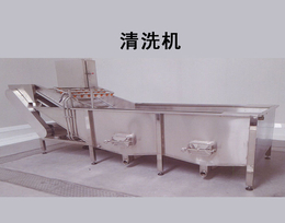 萍乡连续式洗菜机-福莱克斯清洗设备制造-连续式洗菜机定做