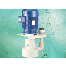 立式耐酸碱泵批发、杰凯泵业(在线咨询)、辽宁立式耐酸碱泵