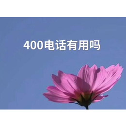 东营的400电话后台是****的