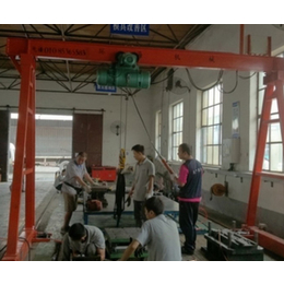 北京龙门吊施工品牌|北京龙门吊施工| 环海机械