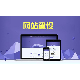 网站建设|天泽网络|西藏企业网站建设