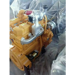 厦工20铲车发动机潍坊ZH4102柴油机私人订制
