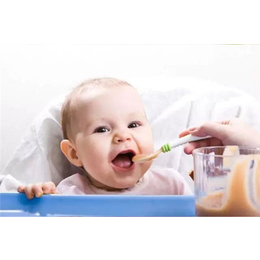 婴乐园婴童用品(图)-婴幼儿用品展-广西婴幼儿用品