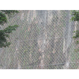 攀枝花边坡防护网,边坡网,边坡防护网安装