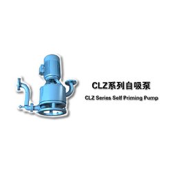 CLZ立式自吸泵、百色立式自吸泵、江苏长凯机械设备有限