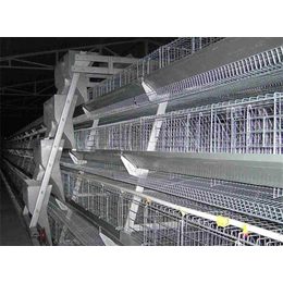 鸡笼生产厂家-运盈机械(在线咨询)-青州鸡笼