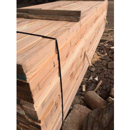 铁杉工程木方-周口工程木方-国通木材(查看)