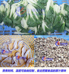 蔬菜*烫机-蔬菜*烫机批发-万隆机械(推荐商家)